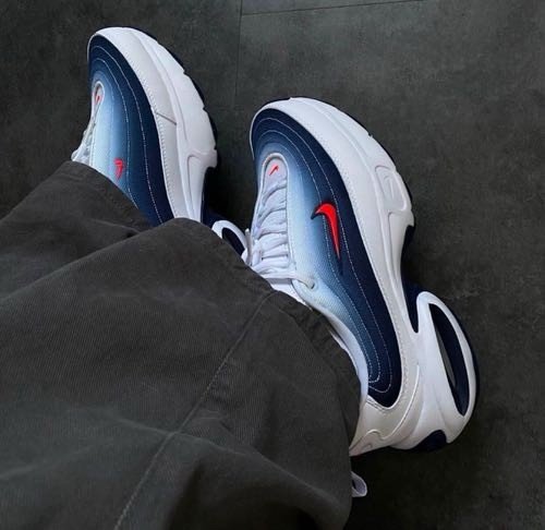 Alternative view of air max portal