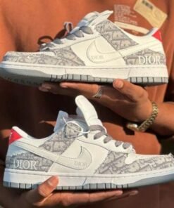 sb dunk low diorr NEW