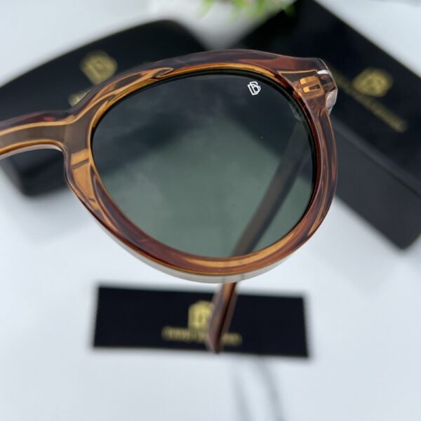 Branded Sunglasses round brown green (With Original kit)