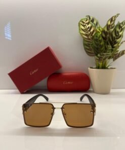 Branded Ctier Gold Brown Sunglasses EW (With Original Kit)