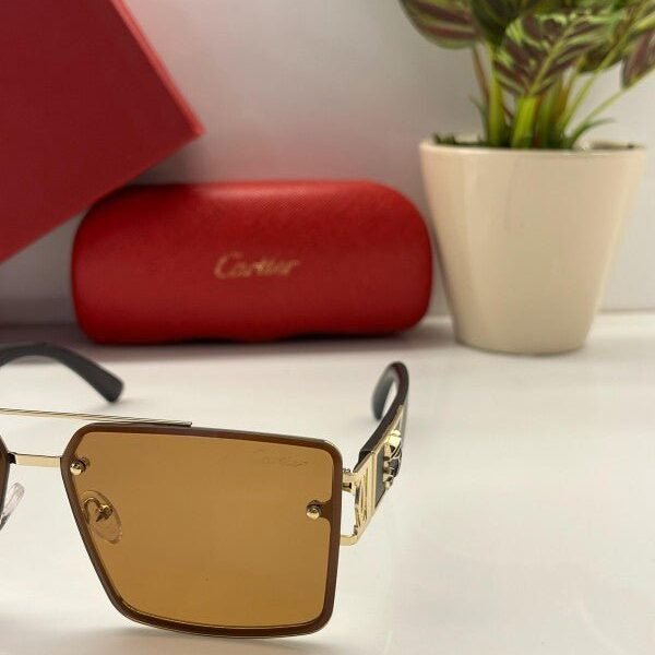 Alternative view of Branded Ctier Gold Brown Sunglasses EW (With Original Kit)
