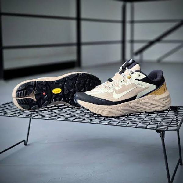 Nike Pegasus Trail 5 Gore Tex brown
