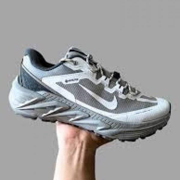 Nike Pegasus Trail 5 Gore Tex grey